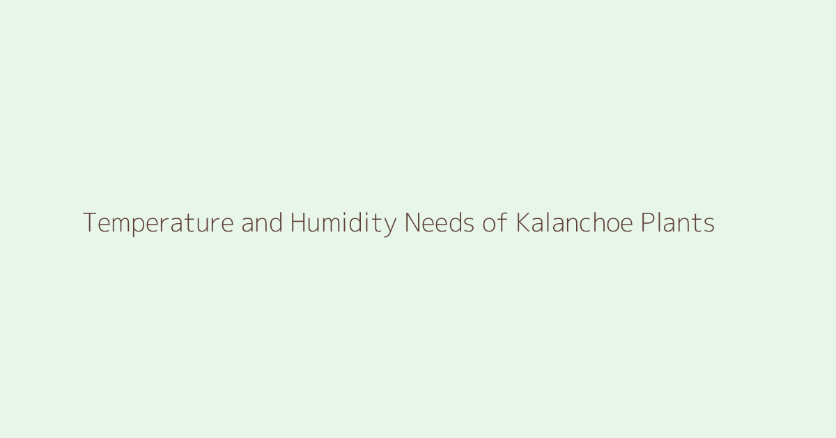 Temperature and Humidity Needs of Kalanchoe Plants